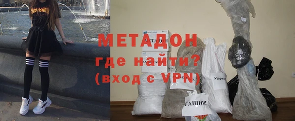 стаф Алексин