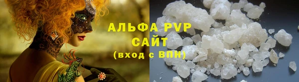 стаф Алексин