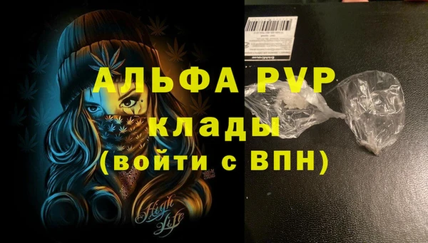 стаф Алексин