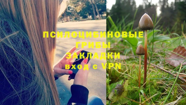 стаф Алексин